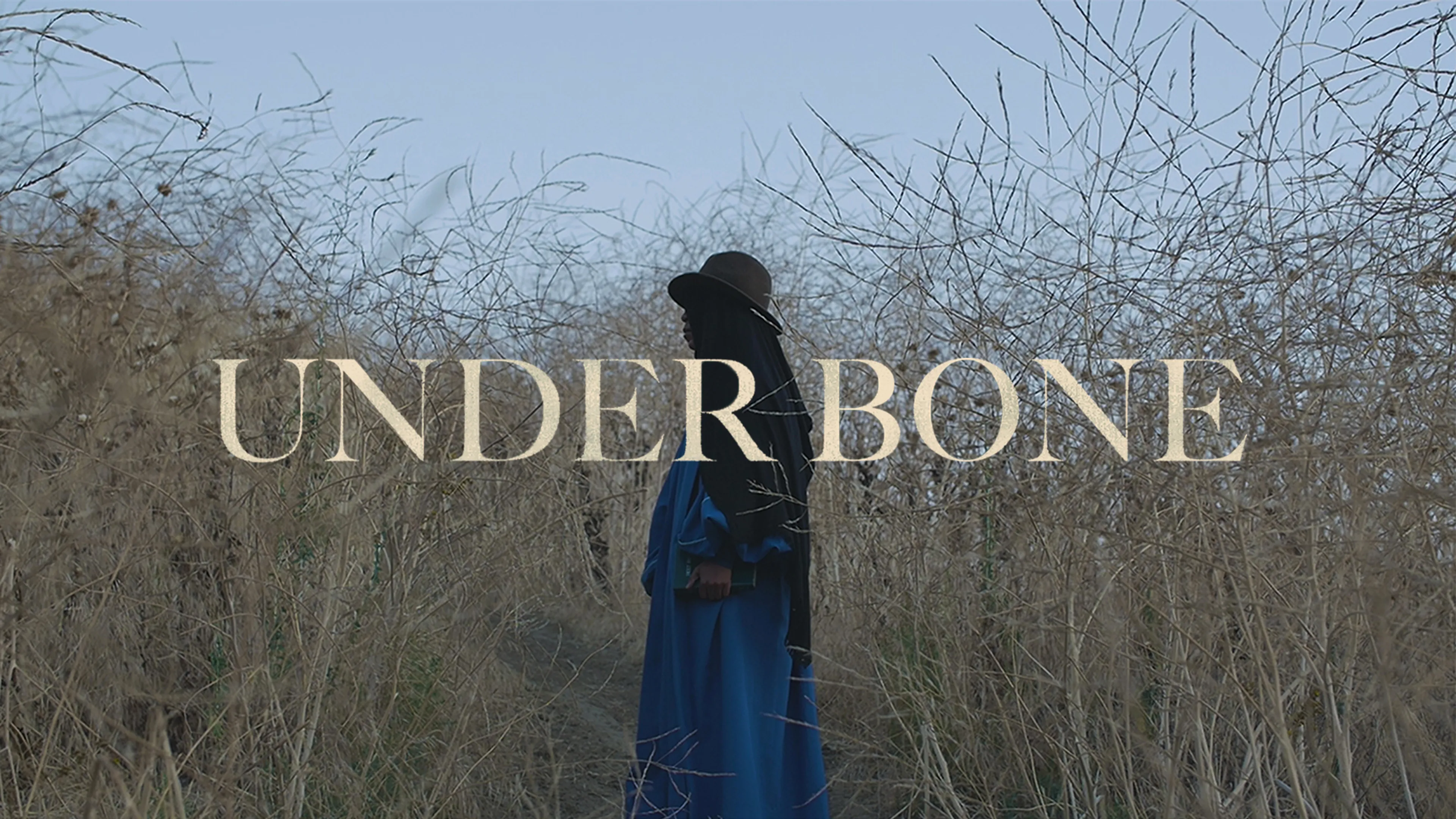 Under Bone poster